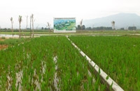 南安市康美鎮(zhèn)園內(nèi)村A區(qū)/ 南安市康美鎮(zhèn)園內(nèi)村B區(qū)